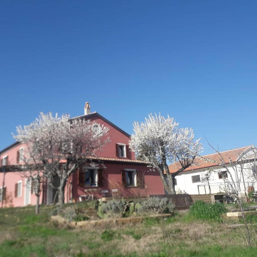 Casa Rosa Acomodação com café da manhã San Costanzo Exterior foto